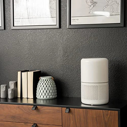 Air Purifier for Home Allergies Pets Hair in Bedroom, Covers Up to 1095 Sq.Ft
