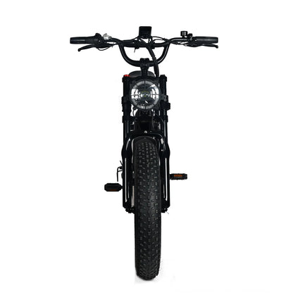 Electric Mountain Bike for Adults | 20 x 4.0 Fat Tires, 1000W Motor, 48V 20Ah Removable Battery, Max Speed 45MPH, Shi Mano 7-Speed for Off-Road Adventures