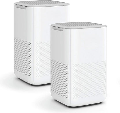 Air Purifier with H13 True HEPA Filter