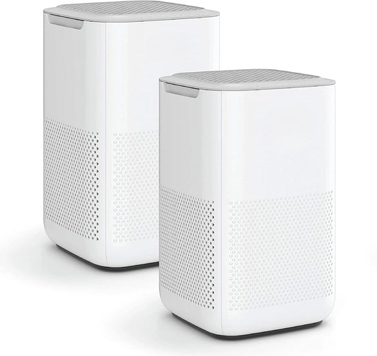 Air Purifier with H13 True HEPA Filter