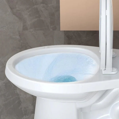 21Toilet, Elongated Toilets for Bathrooms, Two-Piece Toilet with Soft Close Seat, 1.28 Siphonic Flush Toilet with Universal Height ADA Cotton White