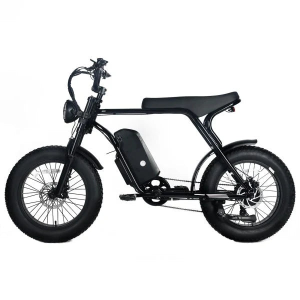 Electric Mountain Bike for Adults | 20 x 4.0 Fat Tires, 1000W Motor, 48V 20Ah Removable Battery, Max Speed 45MPH, Shi Mano 7-Speed for Off-Road Adventures